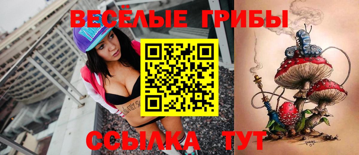 Псилоцибиновые грибы Cubensis Биробиджан